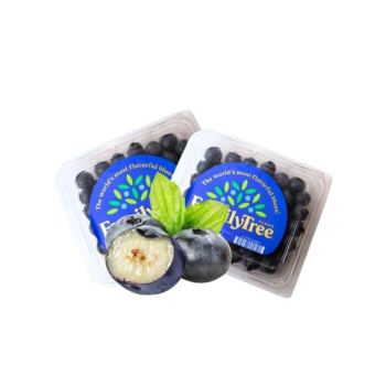 Việt quất Mỹ 125g