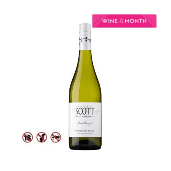 Rượu vang trắng Sauvignon Blanc Allan Scott 750ml 12.5%