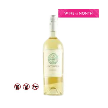 Rượu vang trắng Sauvignon Blanc Antawara 750ml